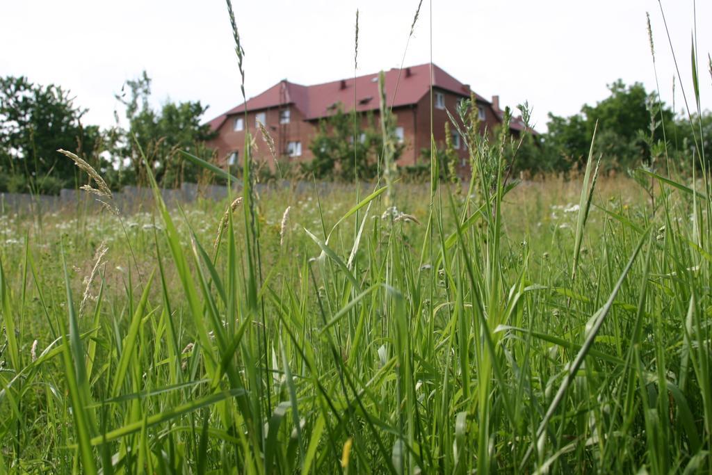 Motel U Olka Boczow Exterior foto